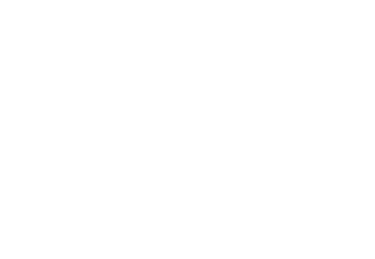 Tzviolin - For Special Events